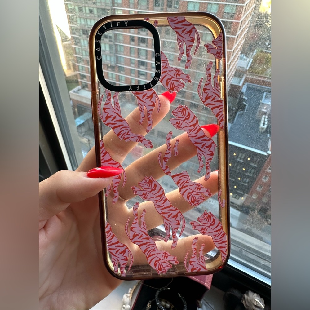 Casetify IPhone 12 pro case (Used)